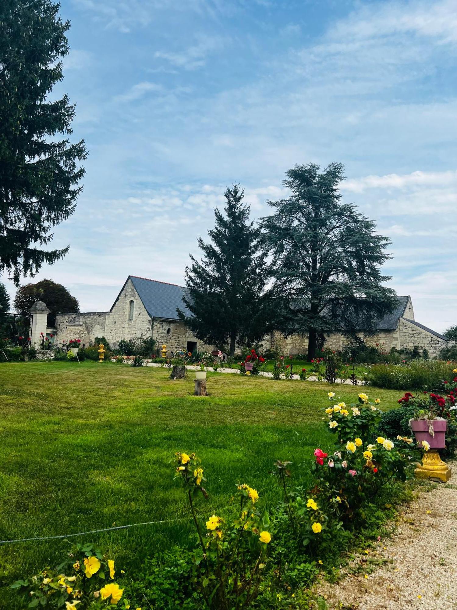 Chateau De La Thibaudiere Bois Savary - Chambre Familiale Du Roi Allonnes  外观 照片